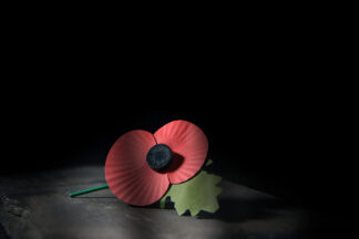 Nation to pay respects to war dead on Armistice Day