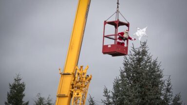 Santa uses crane to decorate safari park Christmas tree