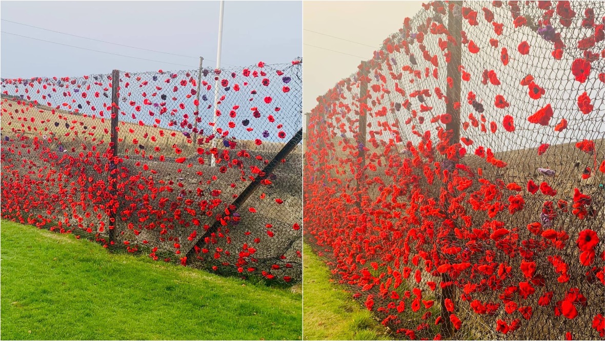 Poppy tribute at Bracoden Primary in Aberdeenshire.