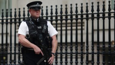 UK raises terror threat level to ‘severe’ after Vienna attack