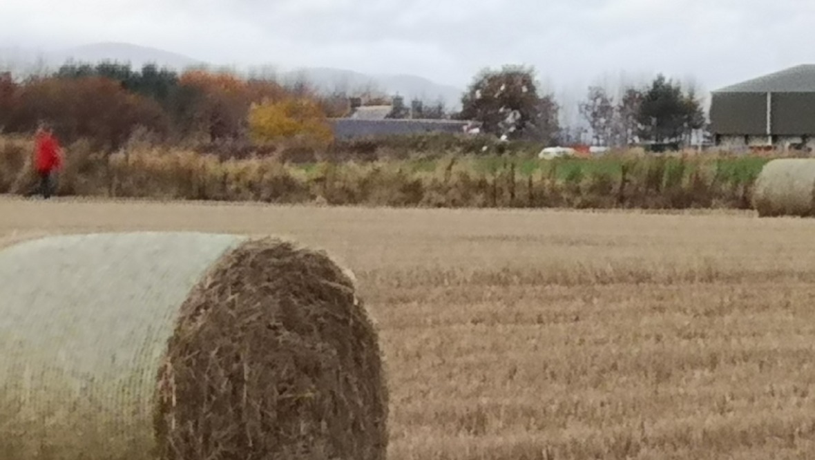 Gyrocopter crashes into field on the Black Isle