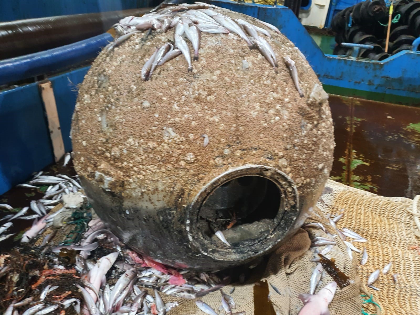 The German WW2 mine found in the Firth of Clyde