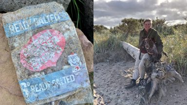 Crisp packet dating back 50 years discovered on beach