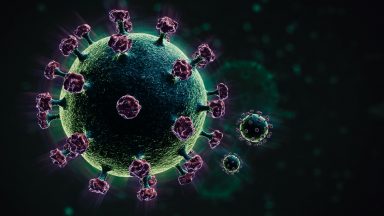 Coronavirus deaths decline for second consecutive week