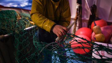 Scottish seafood and fishing industries to get £7m support