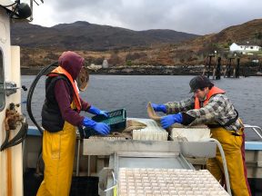 Fishermen mount court challenge against Scottish Government