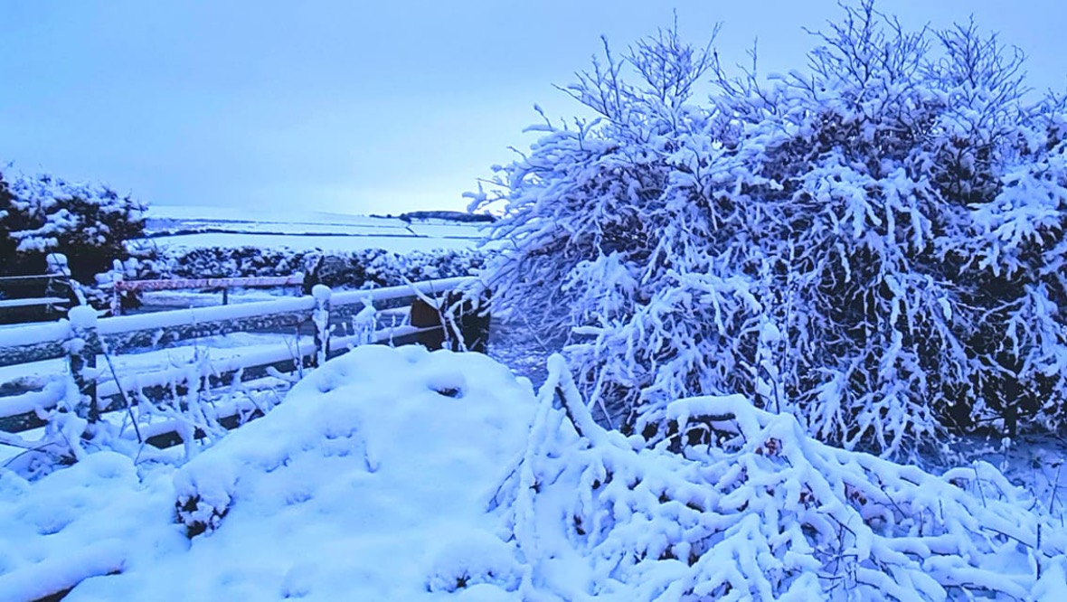 Snowfall on Thursday morning. 