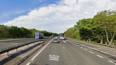 Man dies after being hit by number of vehicles on M8