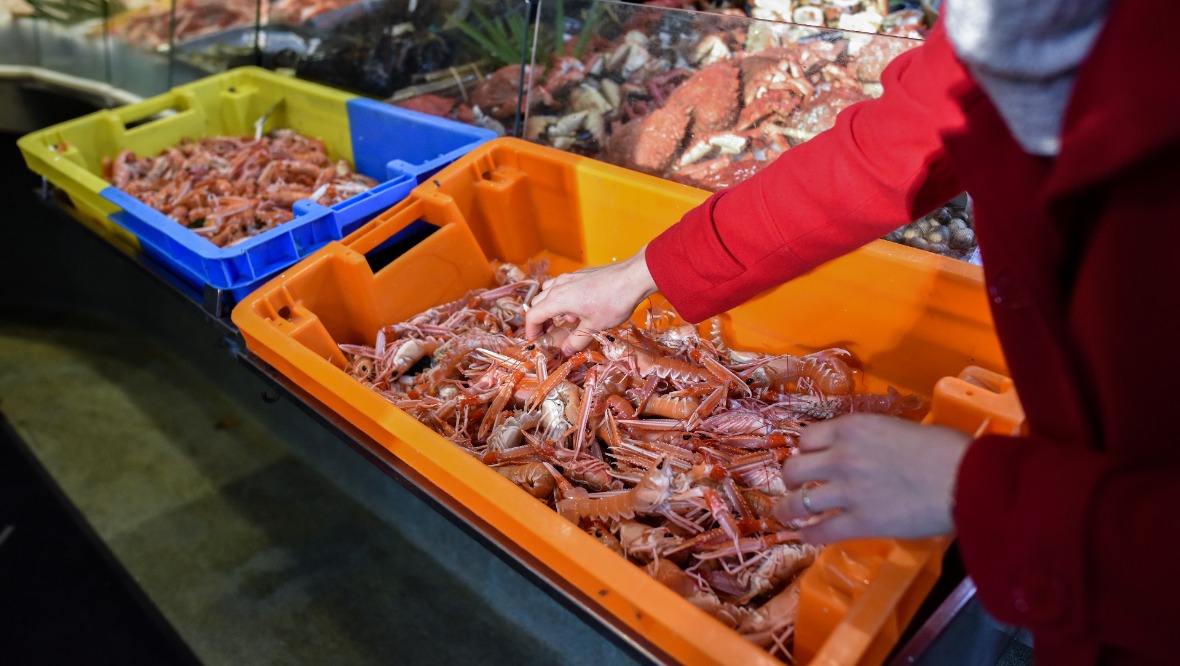 More delays for Scottish seafood firms exporting to Europe