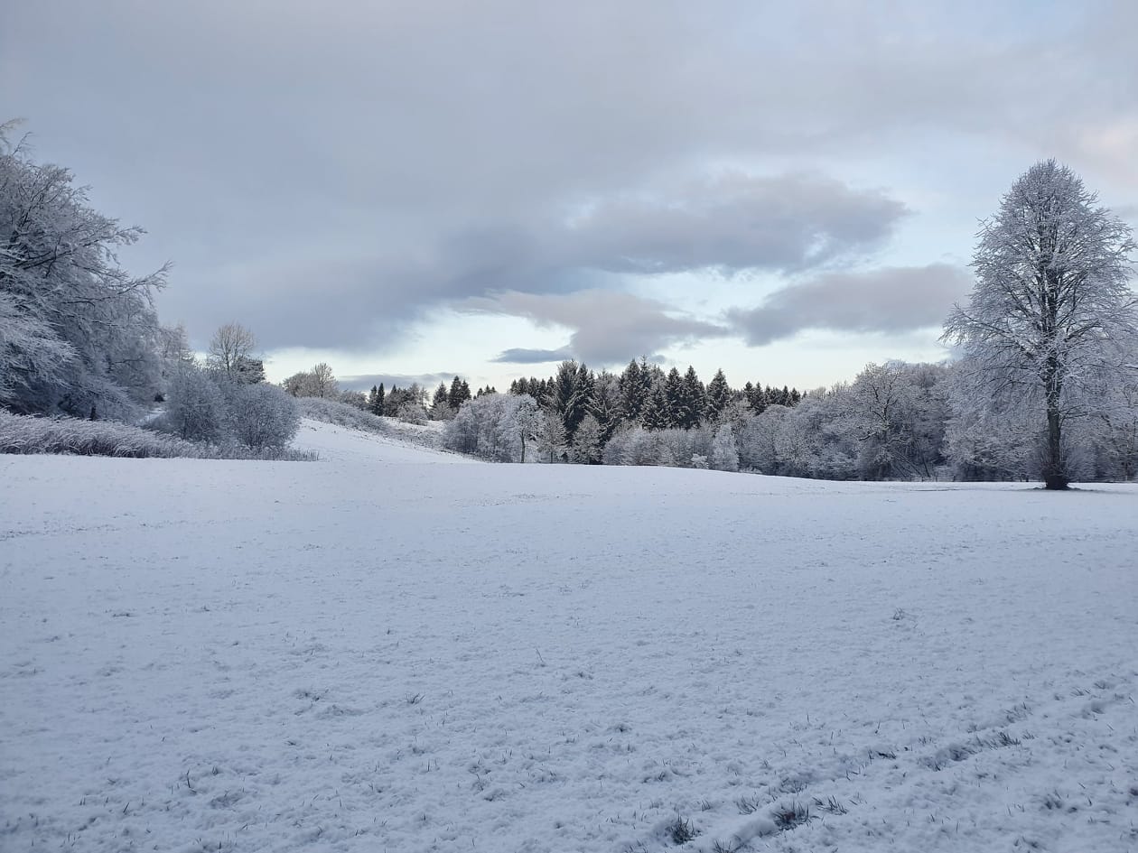 Around 2-5cm of snow may settle in the usual prone higher areas such as East Kilbride.