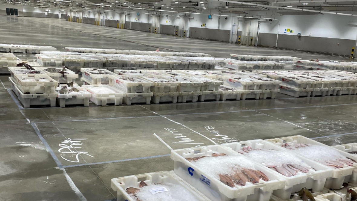 Scotland’s biggest fish market ‘a ghost town due to Brexit’