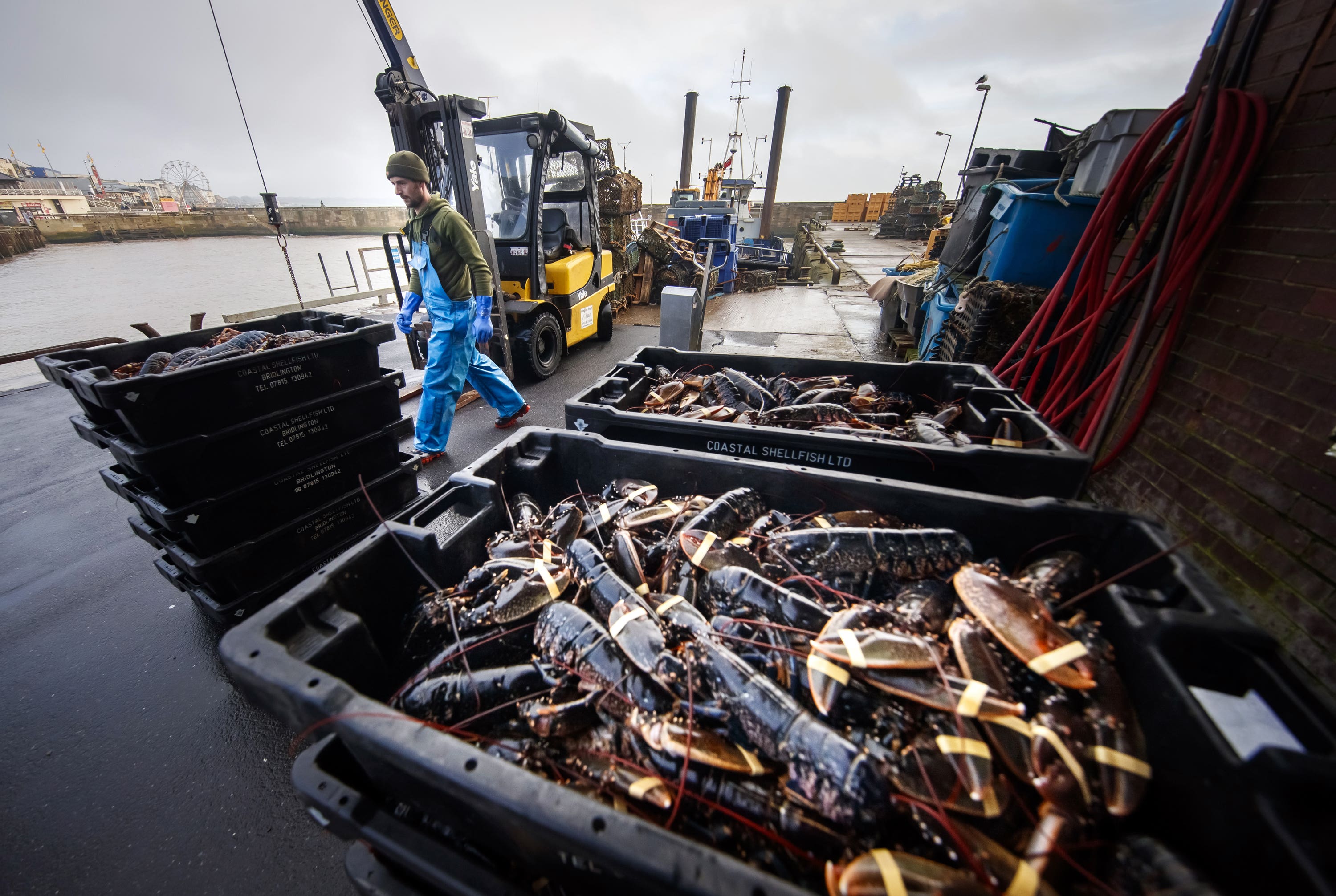Mr Eustice said his department was ‘working daily with the fishing sector to tackle and iron out any particular issues’ (Danny Lawson/PA).