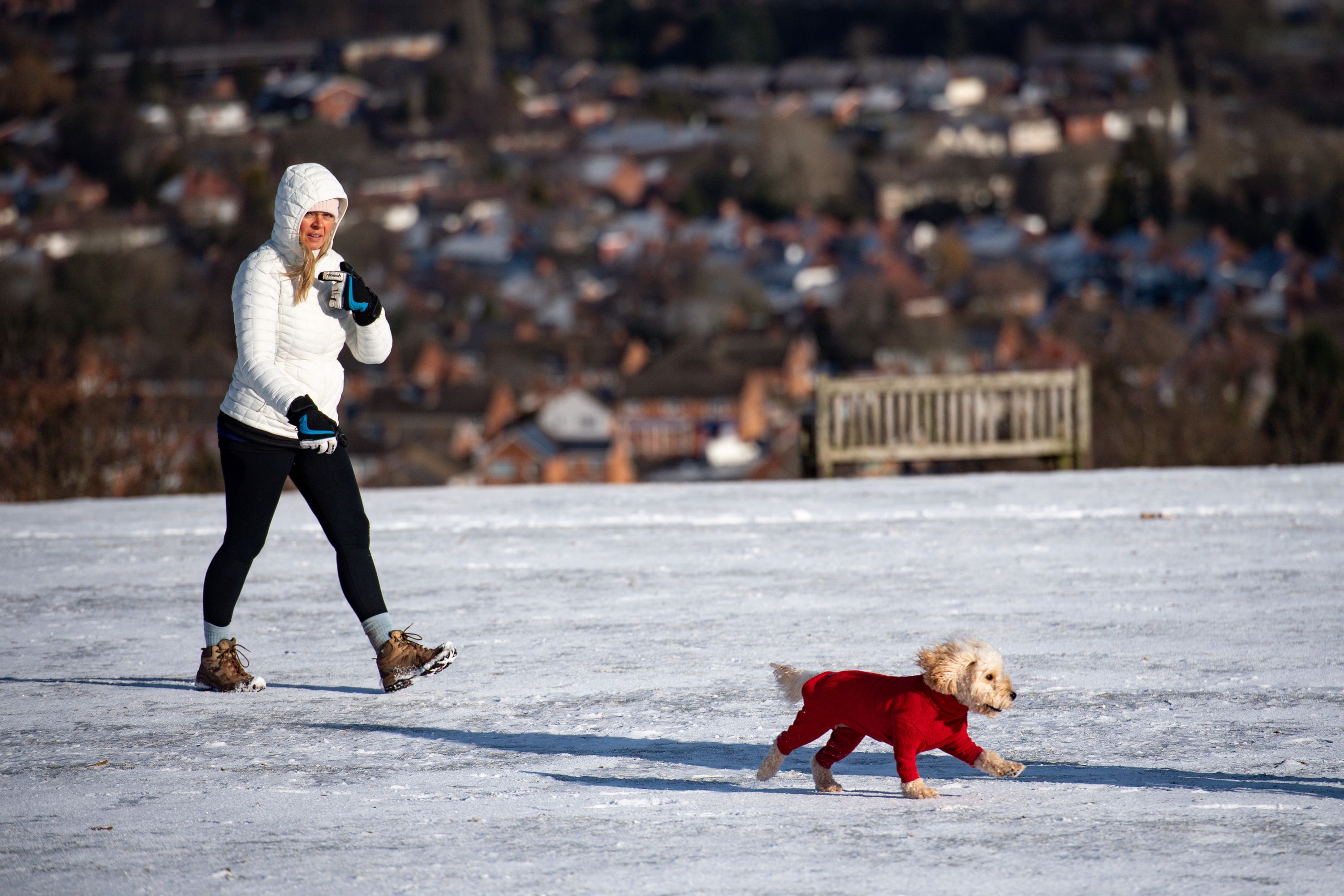 The RSPCA has recommended dressing dogs in comfortable coats to keep them warm as temperatures plummet (Jacob King/PA).