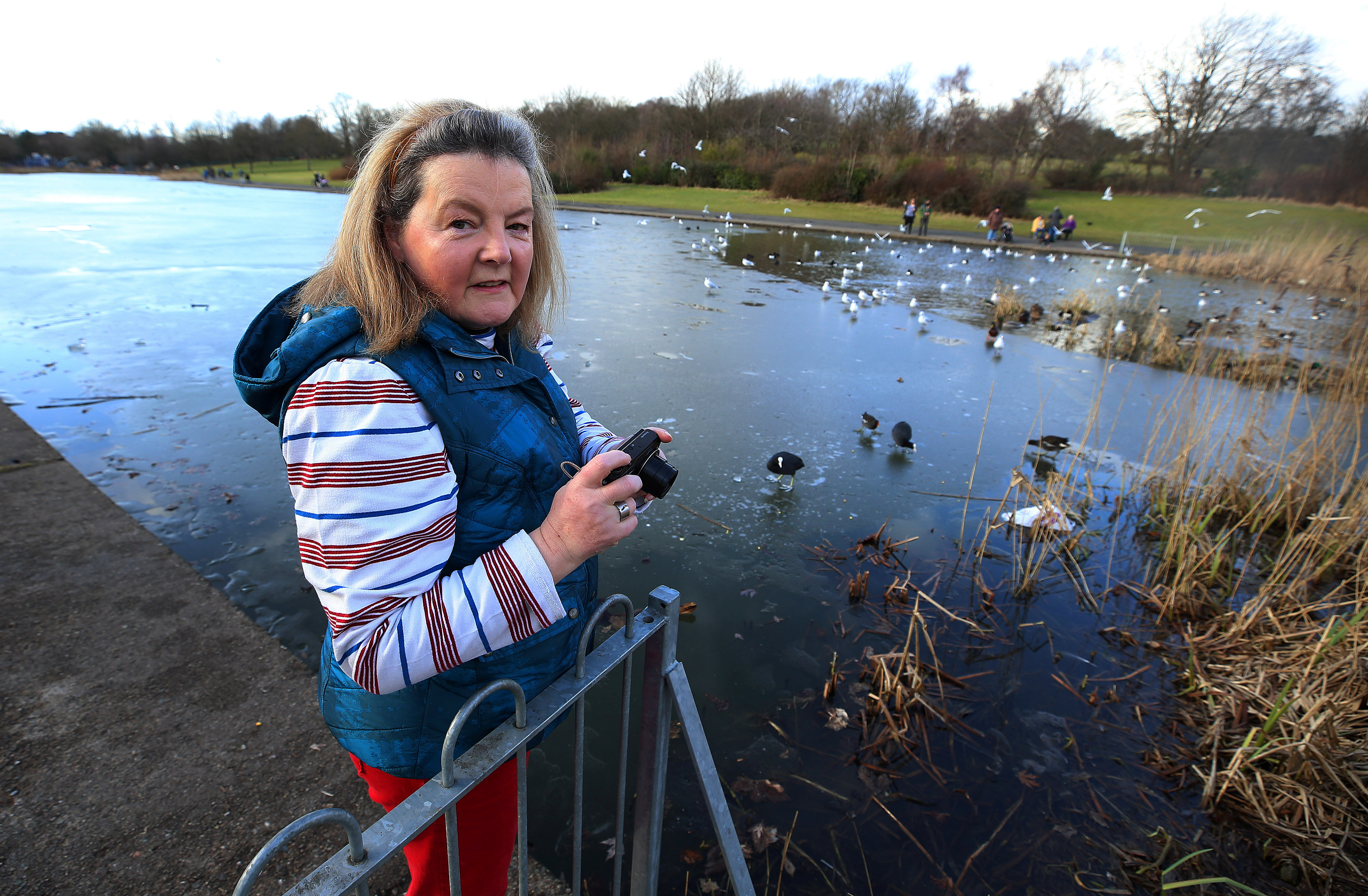 Maureen Griffiths at Alexandra Park where she saw the bird struggling with a mask. 