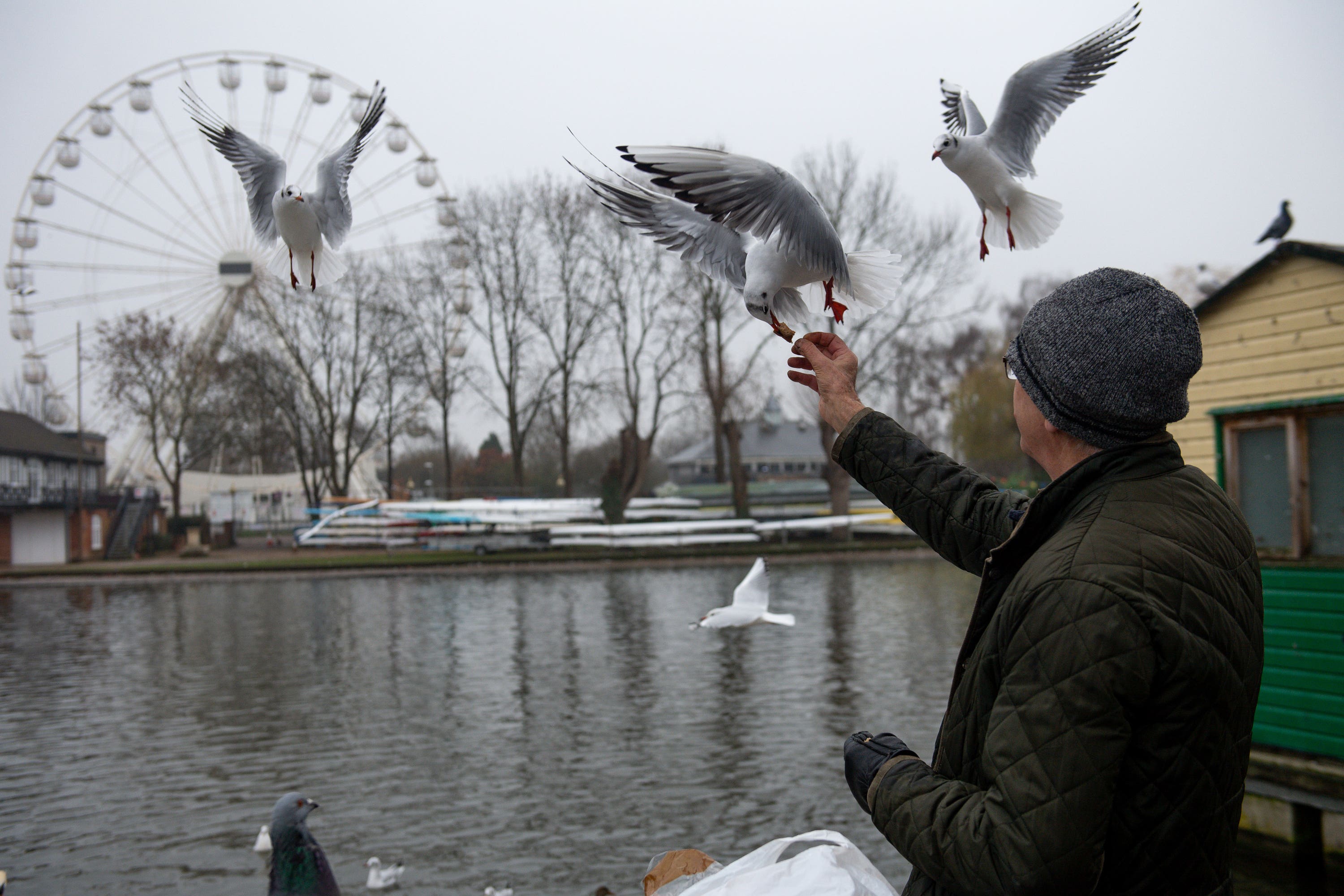 The RSPCA recommends leaving seeds and grains outside for birds struggling to find food in the winter months (Jacob King/PA).