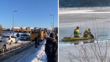 Firefighters rescue dog from icy loch after it chases swan