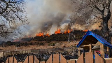 Wildfire engulfs hillside yards from village on major road