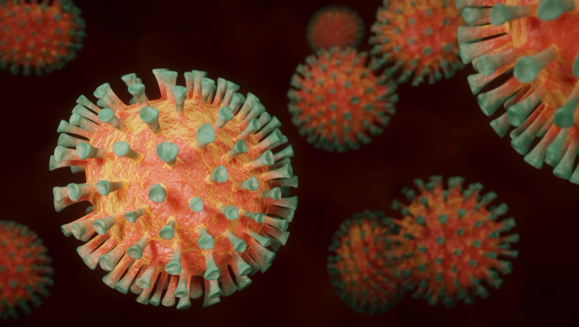 Coronavirus: 8 deaths and 488 cases recorded in 24 hours