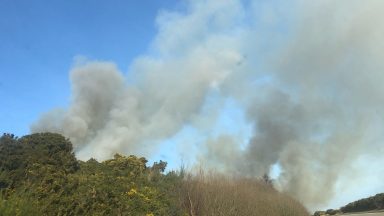 Major road closed as six engines tackle 200m long wildfire