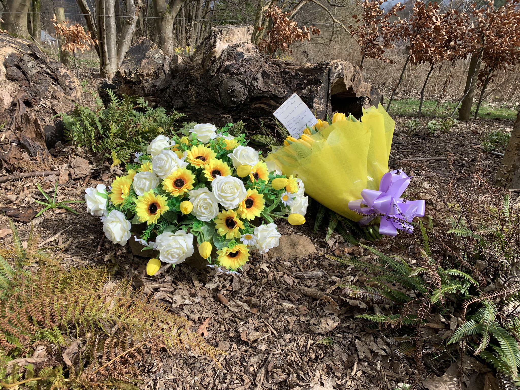 Flowers laid by staff at Erskine Care Home to remember those lost during the pandemic. 