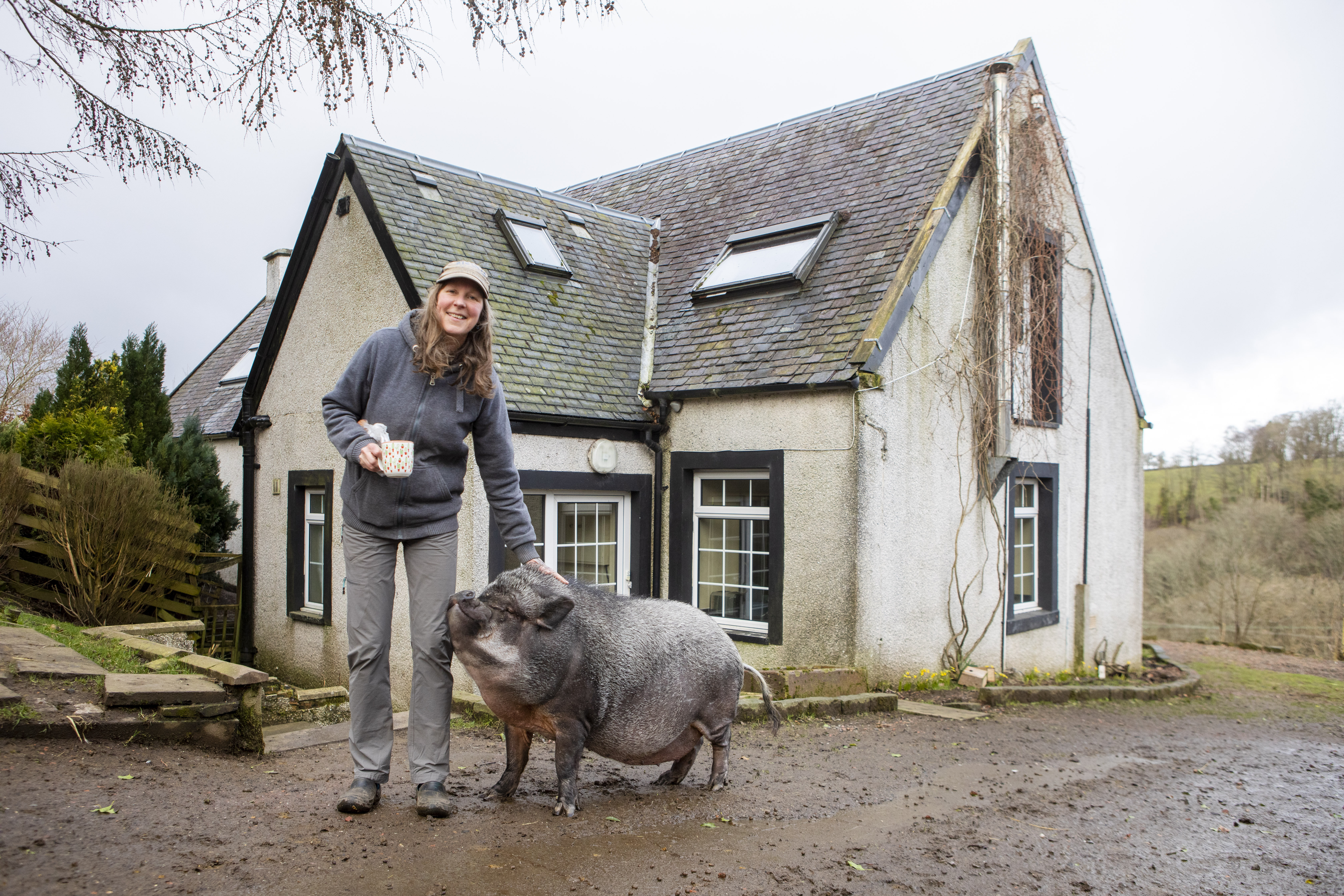 The giant hog is living in a three-bedroom house.