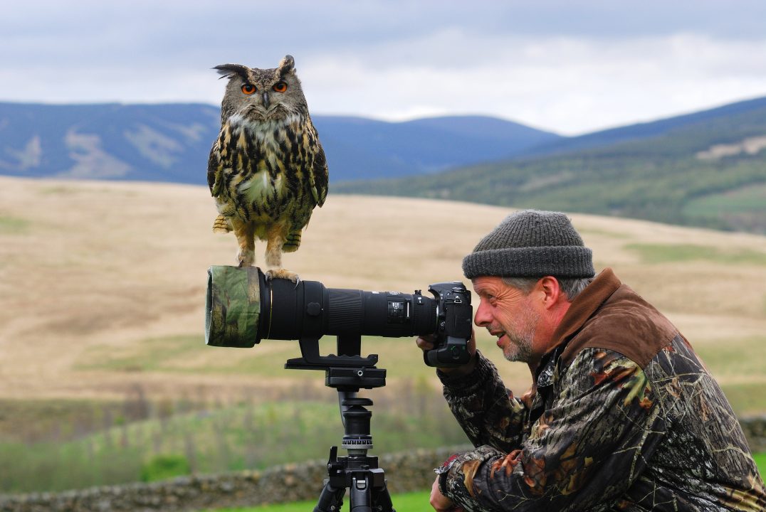 One of world’s largest owls captured on photographer’s camera
