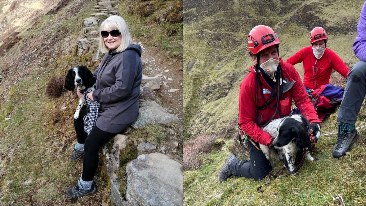 Couple feared dog was dead after 300ft plunge down waterfall