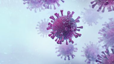 Coronavirus: 161 new cases recorded in last 24 hours