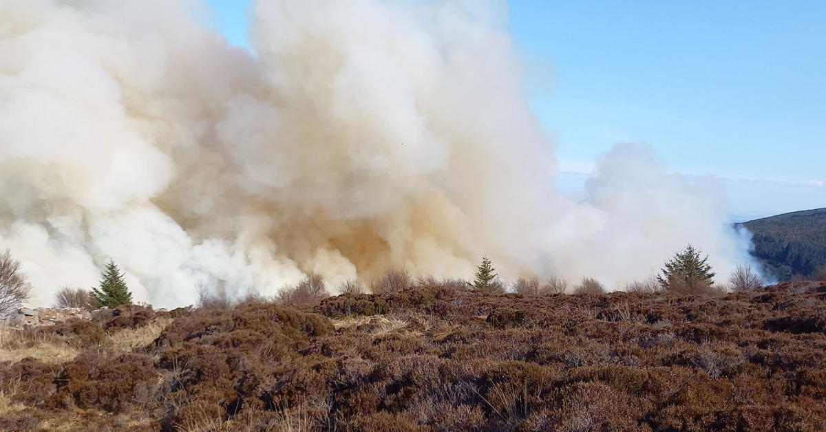 Huge plumes of smoke as firefighters tackle wildfire