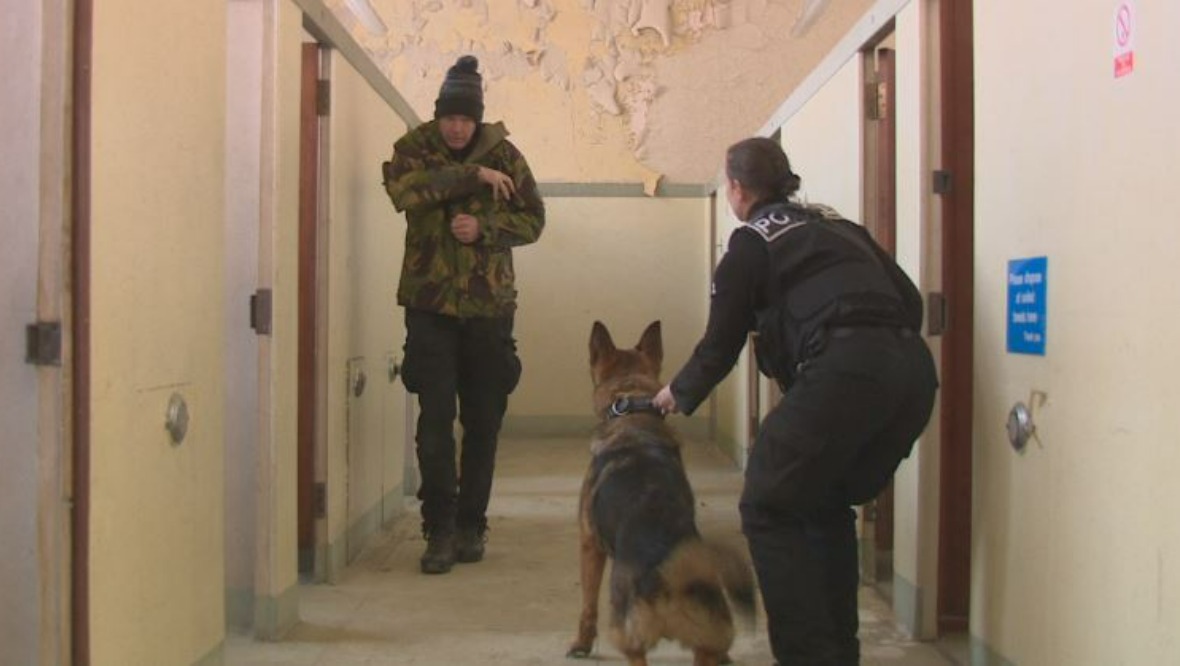 Zak prepares to pounce on a suspect during training. 