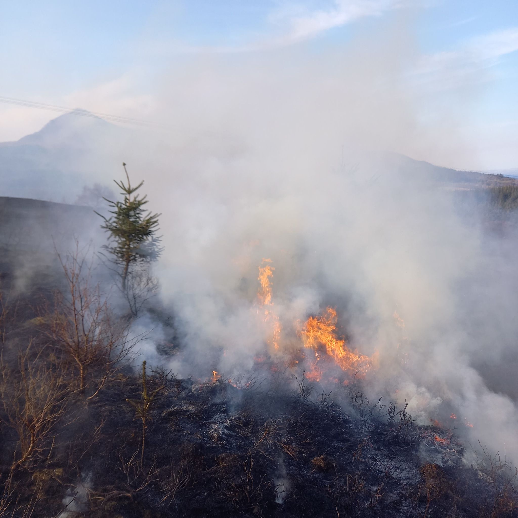 Fire on a hillside on Arran (Christian Roots)