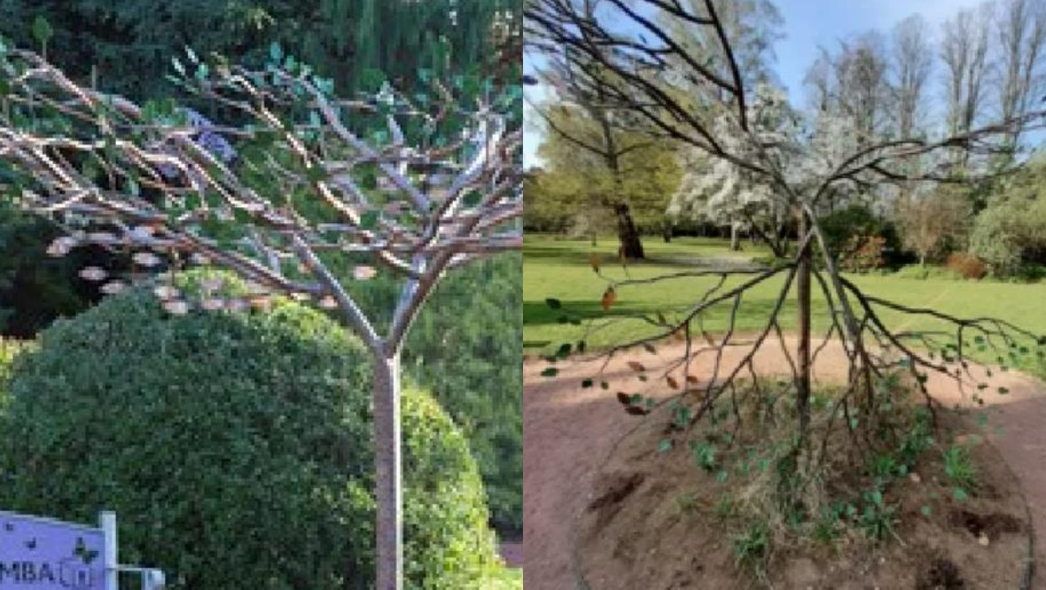 Fundraiser launched to repair damaged memorial tree