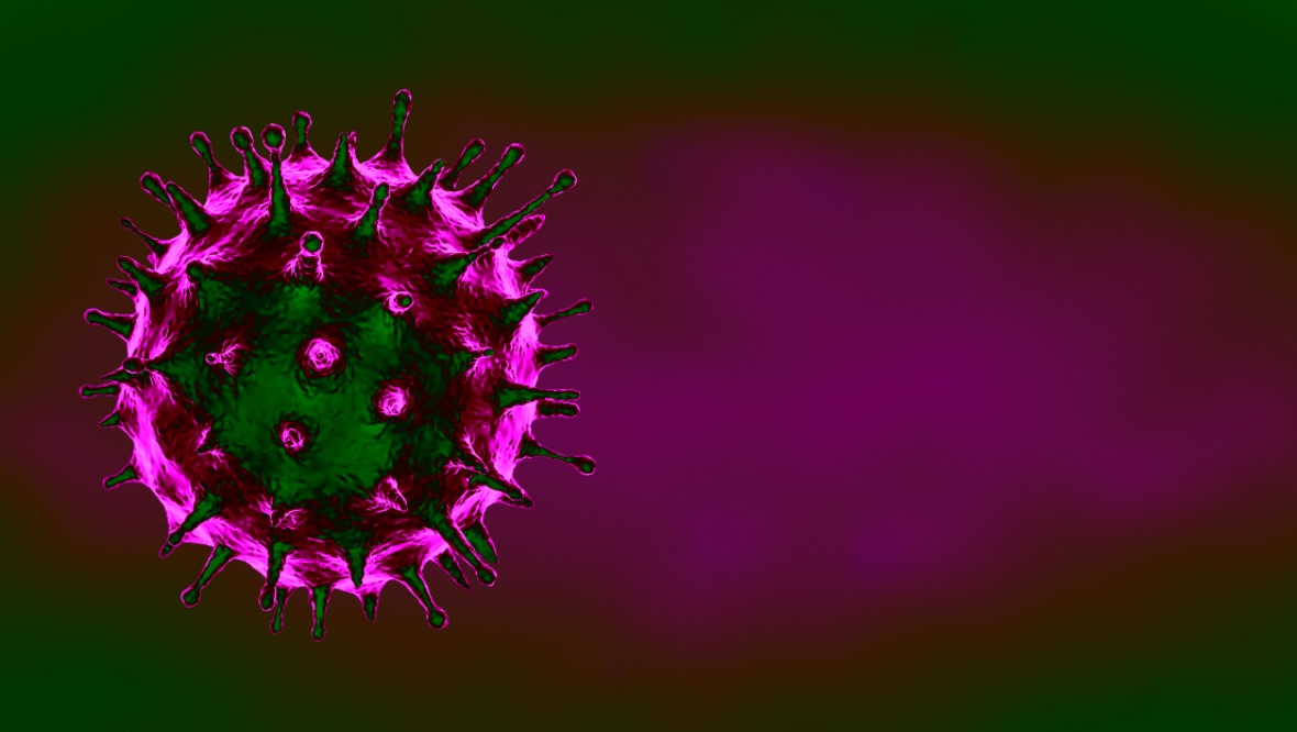 Coronavirus: Five deaths and 178 cases recorded overnight