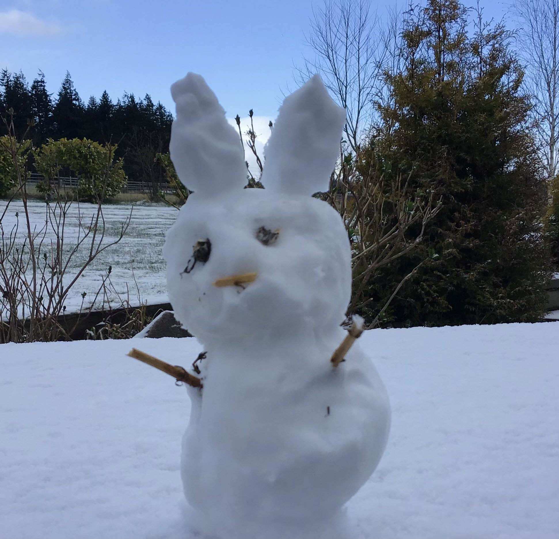 An Inverness family built a snow bunny on Easter Monday morning.