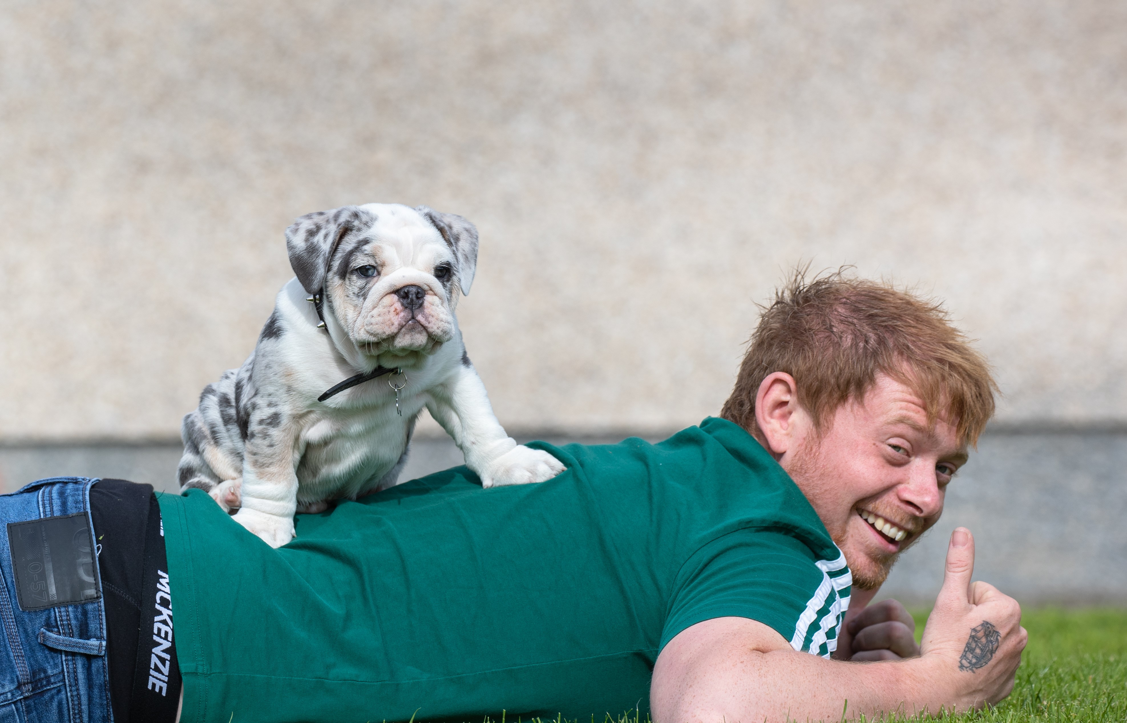 Ryan with his English bulldog Winston.