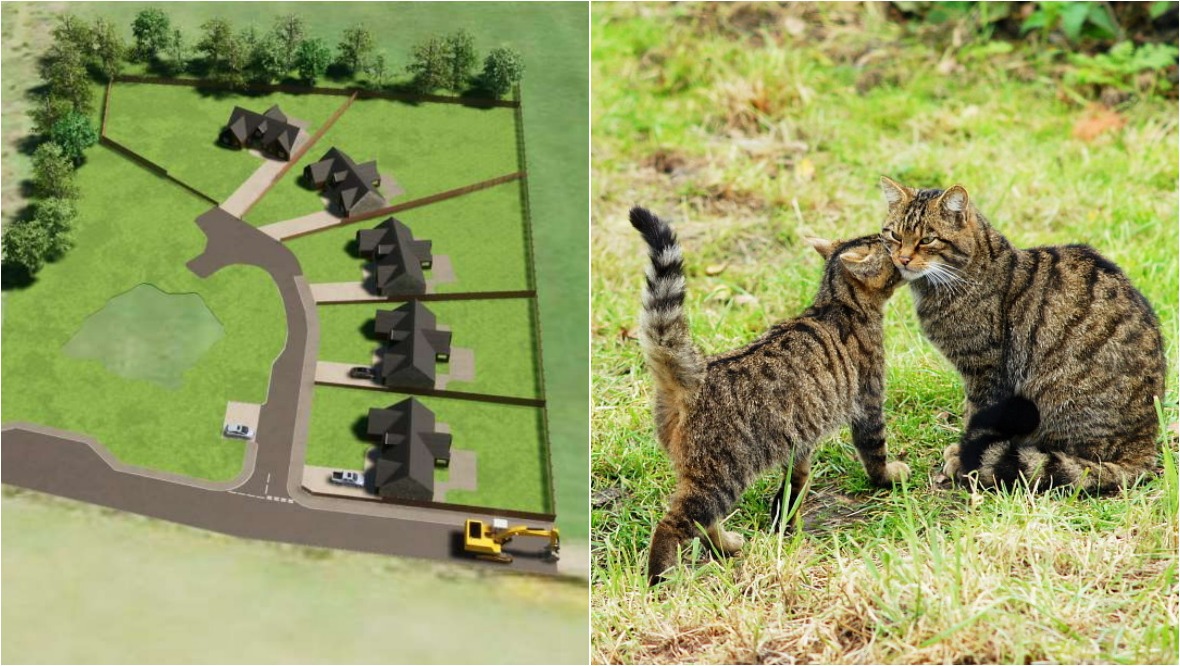 Housing plan rejected after ‘disingenuous’ wildcat claims