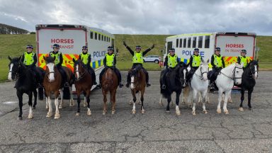 Police horses make a splash after training session