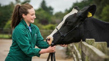 Scotland to get first new vet school for more than 150 years
