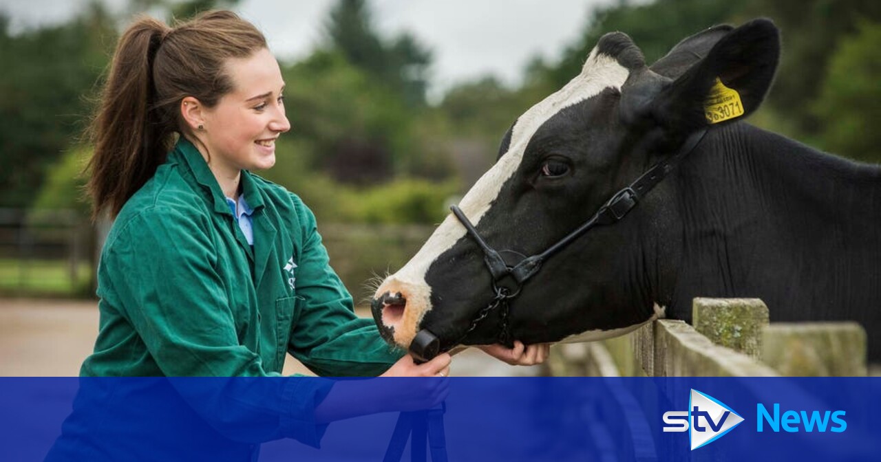 Scotland to get first new vet school for more than 150 years STV News
