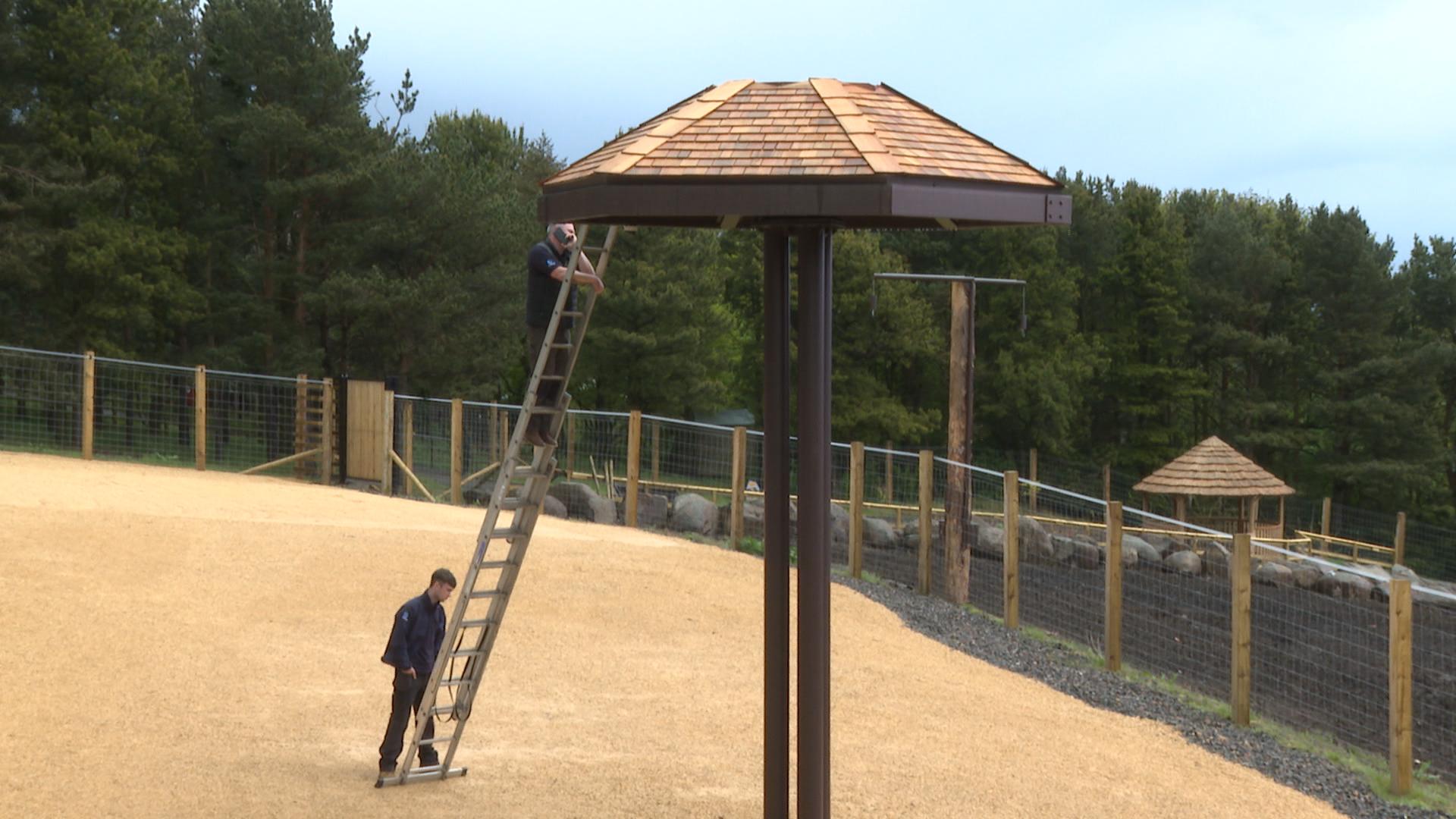 A new specially made giraffe enclosure has been installed at Edinburgh Zoo.