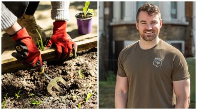 ‘Airbnb for gardens’ to help tackle UK allotment shortage