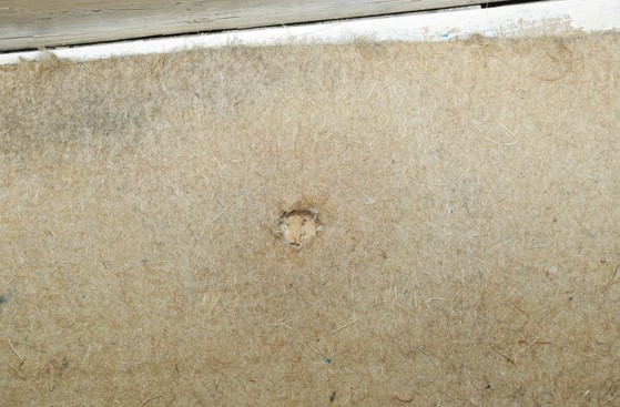 Close up of a shotgun hole in Duddingston Row (Crown Office)