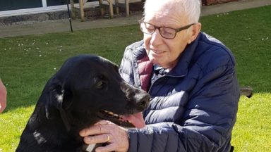 Great-grandad reunited with Labrador after year apart