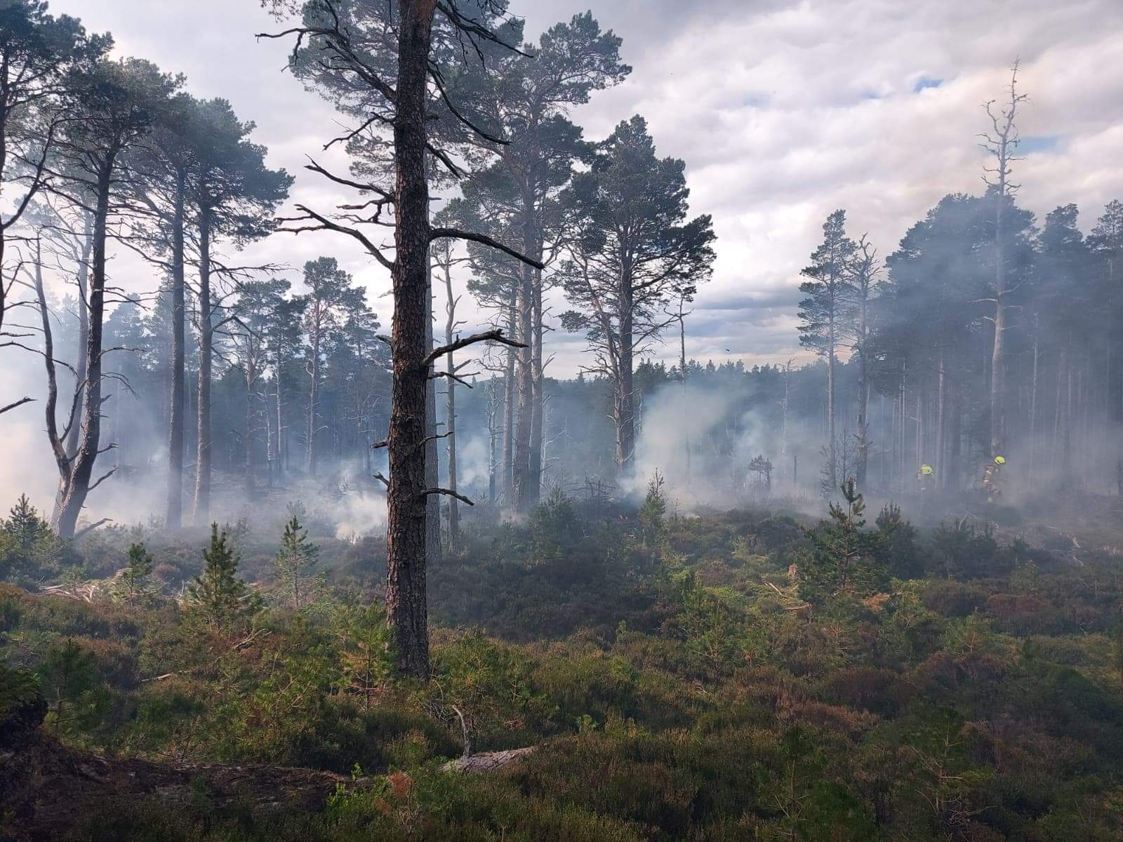 Fire ravaged a huge area of the national park.