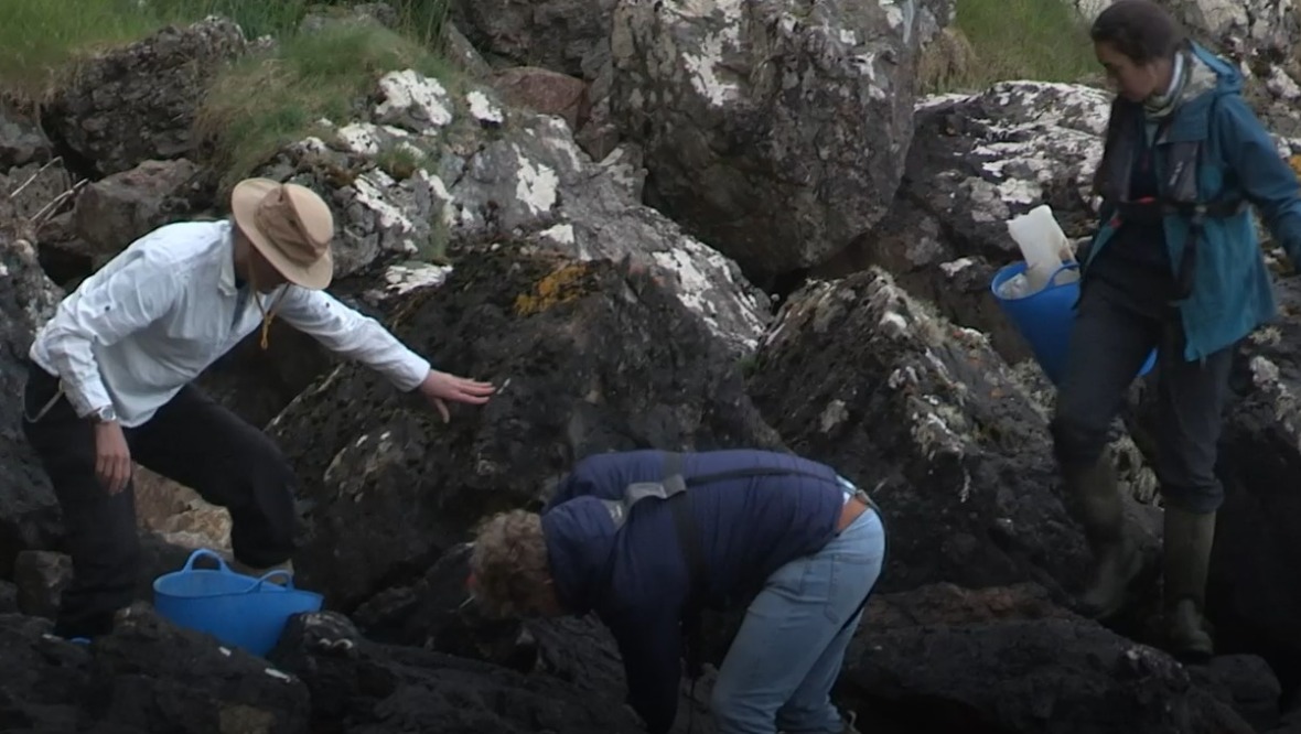 Clean Coast Outer Hebrides: The group chartered a vessel to reach a stretch of coast between Swordale and Bayble on Lewis.