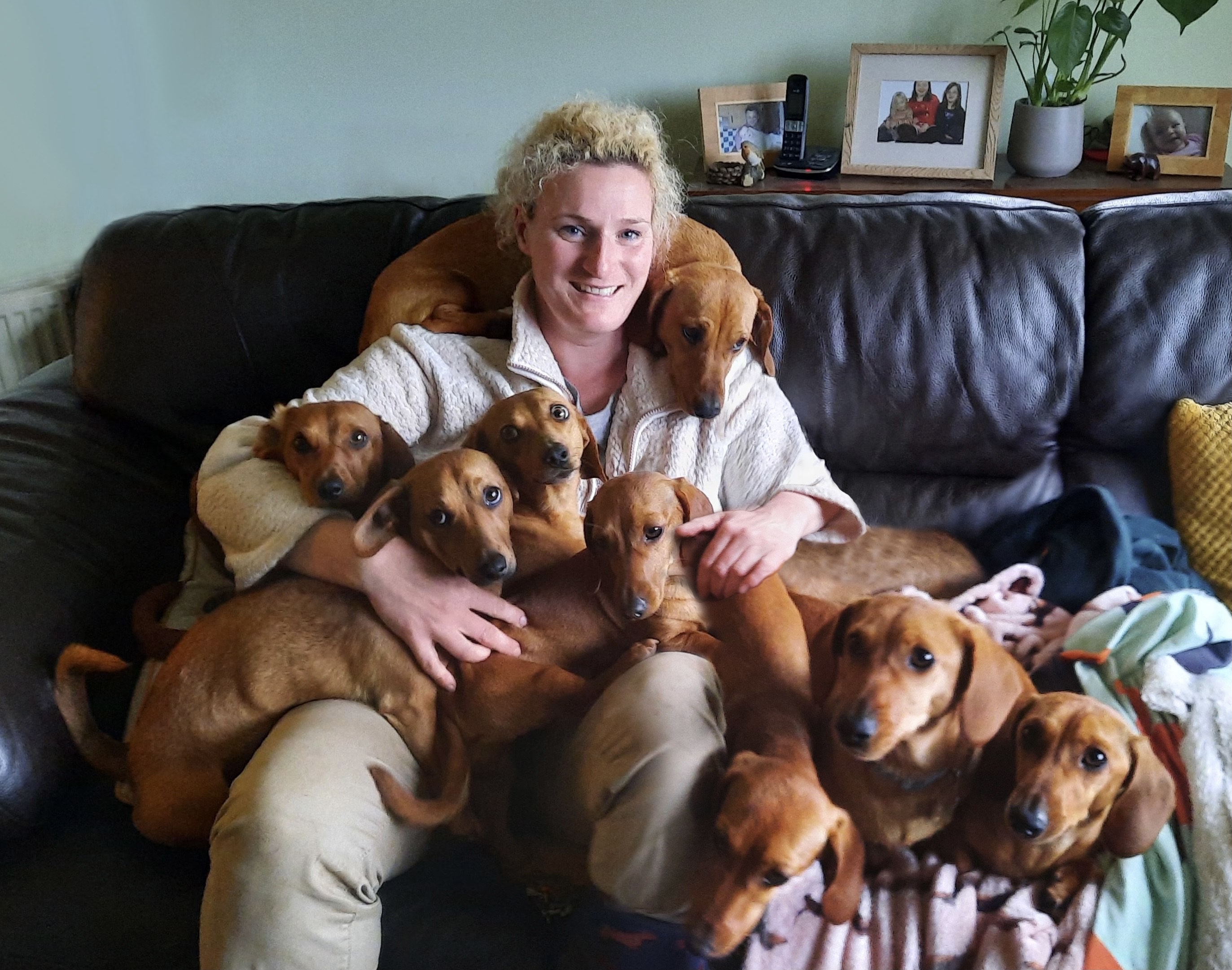 Jessie Probst with her Dachsunds.