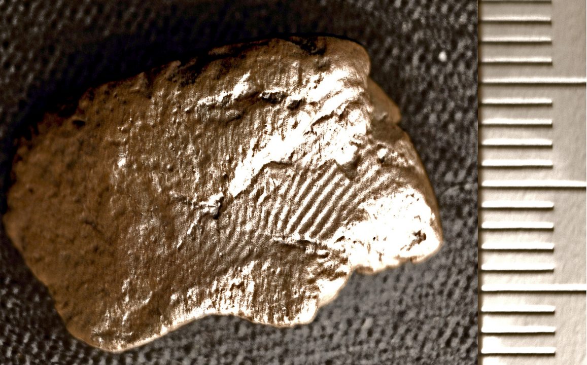 Prehistoric fingerprints found on piece of Neolithic clay