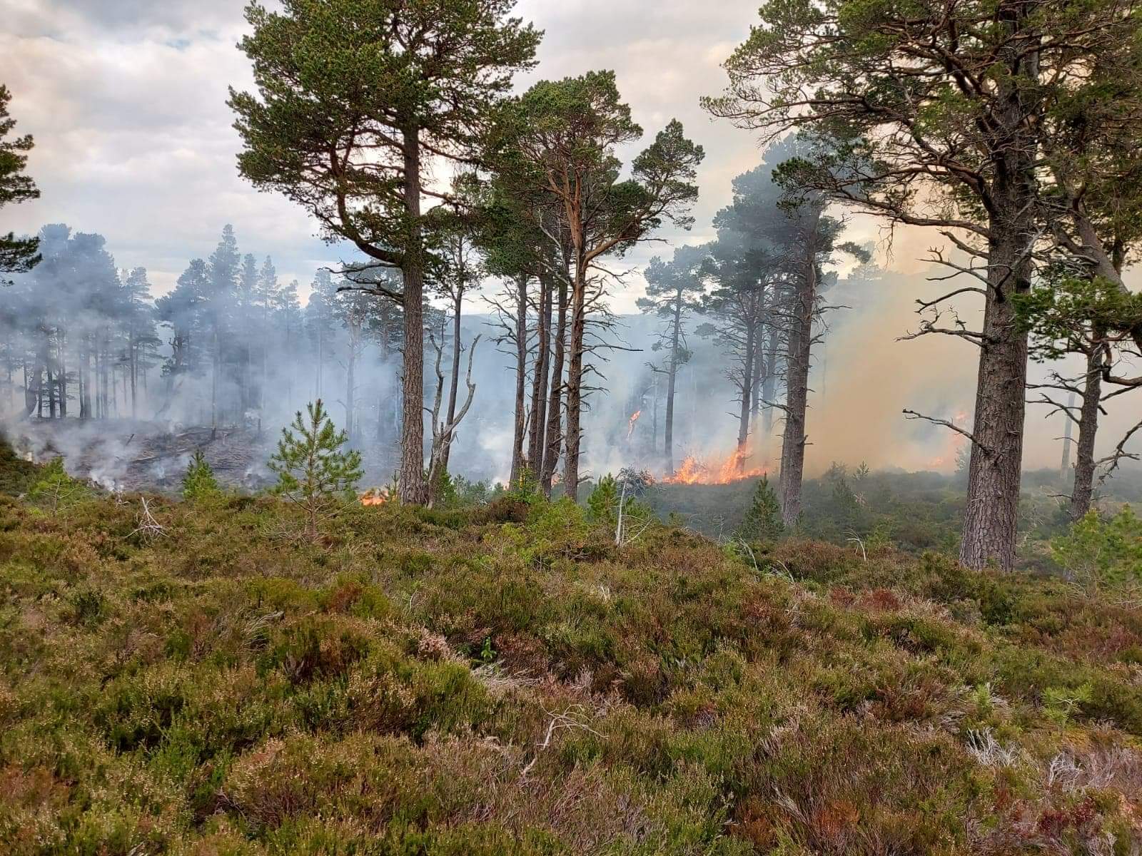 Firefighters fought for more than 20 hours to subdue the flames.