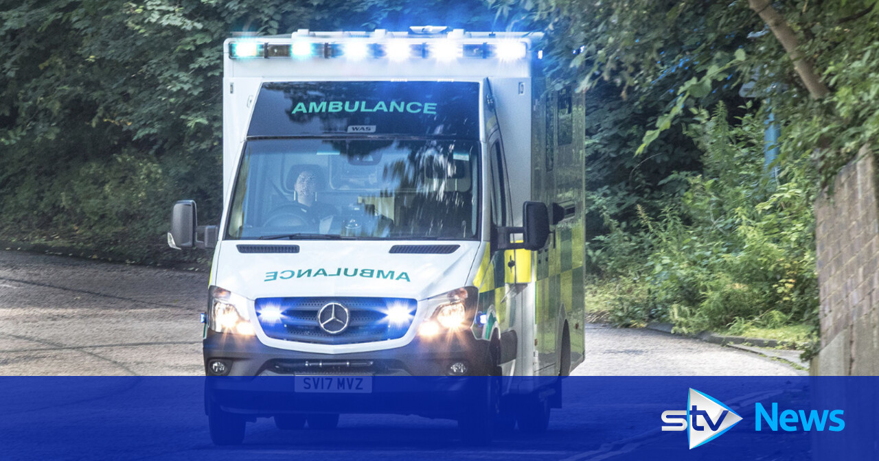 Man walking on M8 carriageway killed after being struck by car | STV News