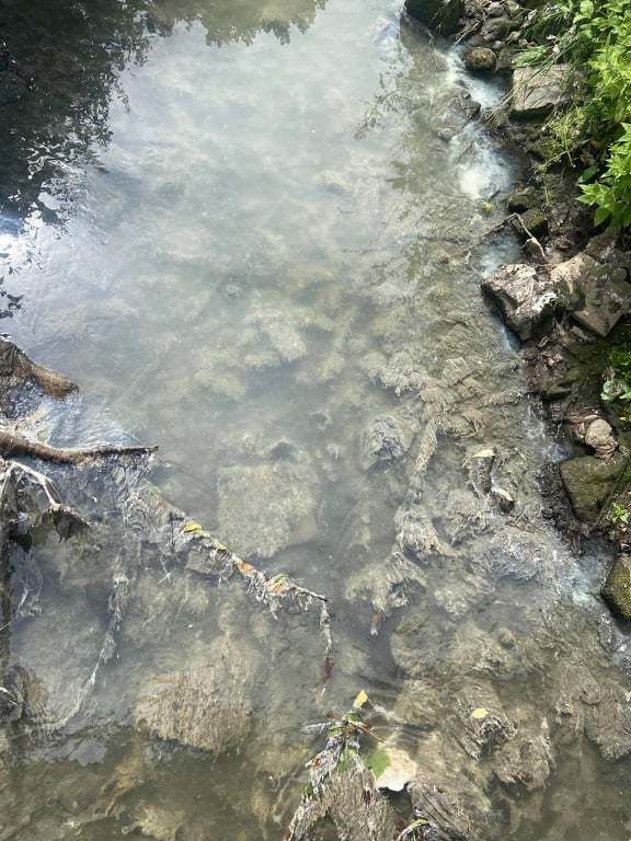 The Bothlin Burn has been contaminated with a grey, fatty looking substance.